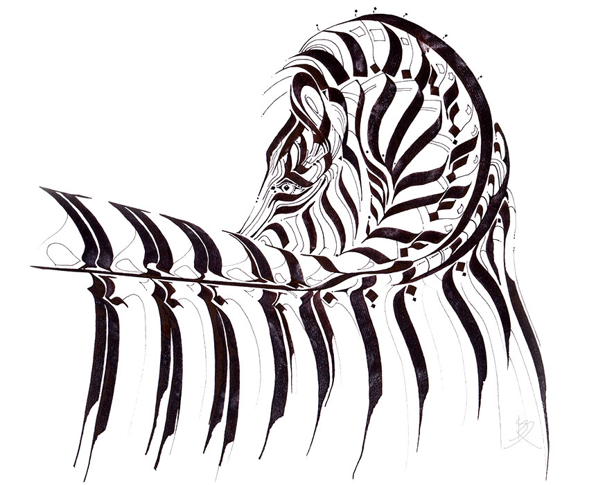 Kinotism - Zebra